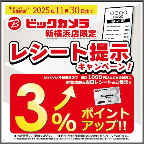 ビックカメラ施策